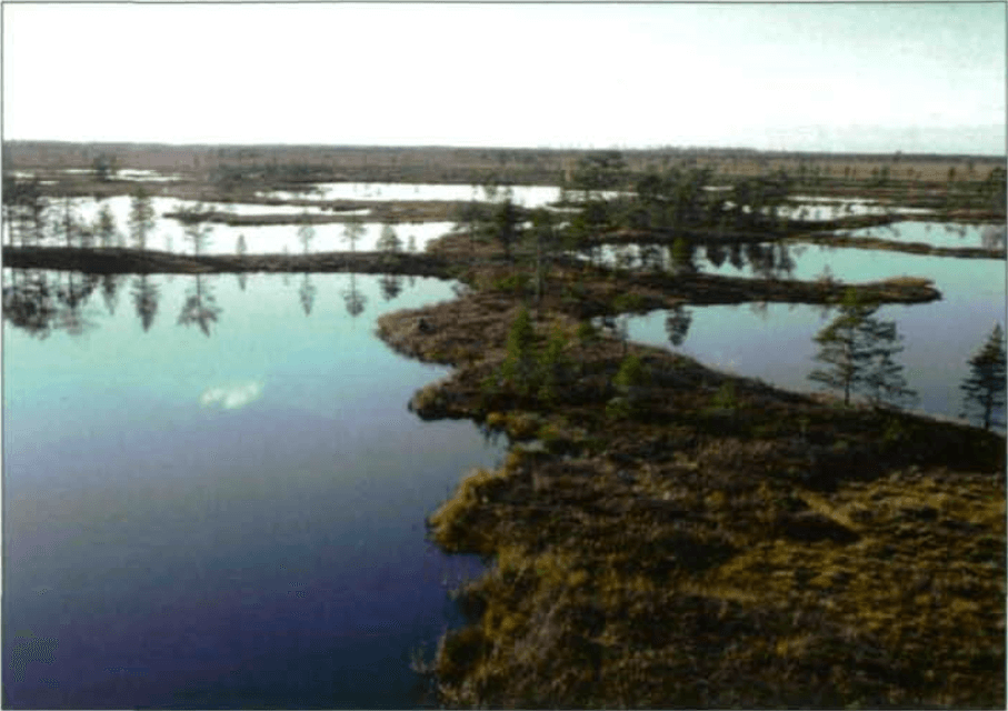 Otherworldly Incantations Wetlands Worldbuilding Plateau Bog